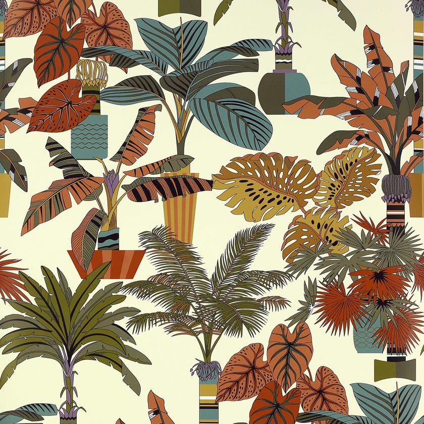 Manuel Canovas - Florida Tabac