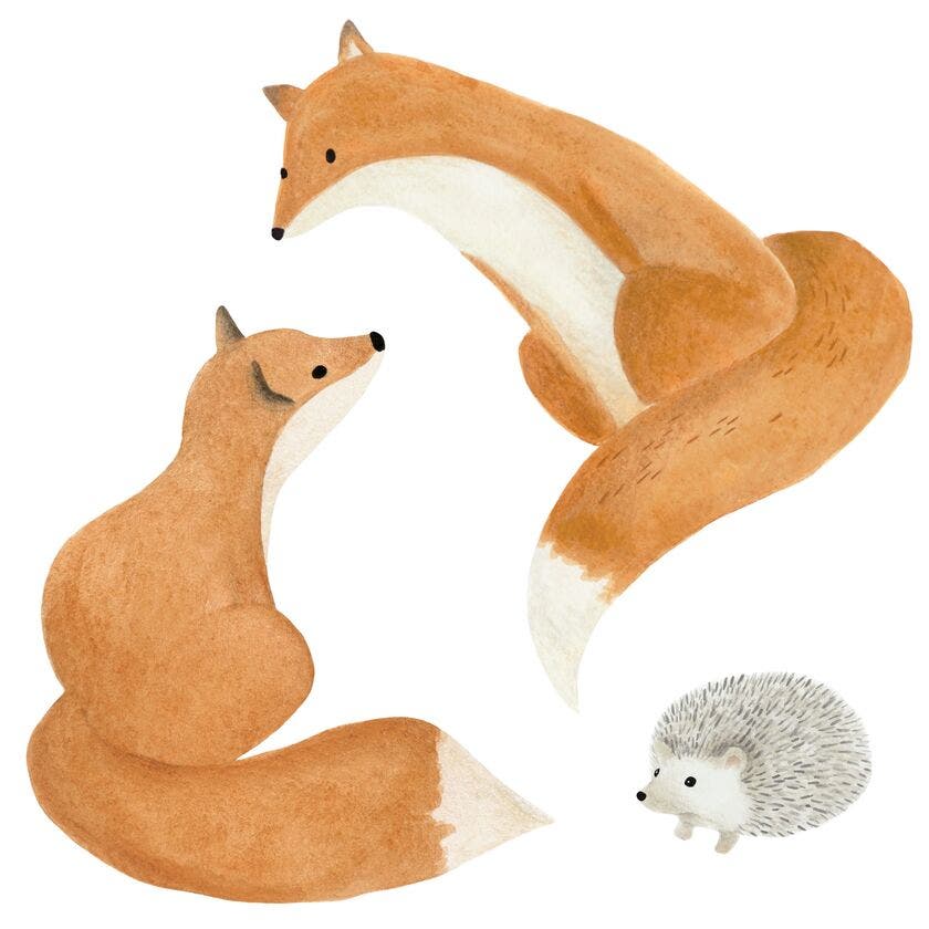 DECOR PRE-ENCOLLE FOX ROU ONCE UPON A TIME