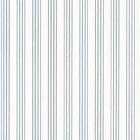 Palatine Stripe Porcelain Blue