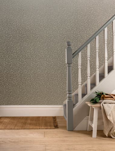 Carma - Pebble Mist NW Aurora