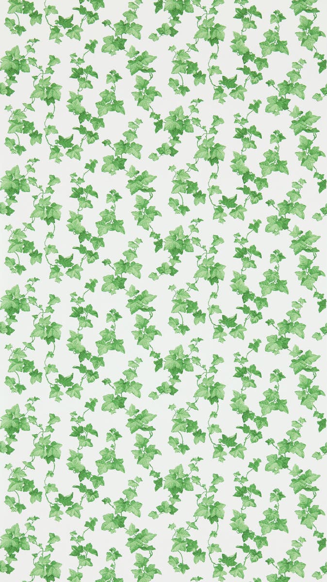 Hedera Green Sanderson One Sixty Wallp