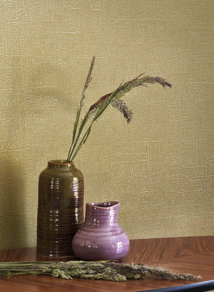 ECUME OLIVE SENTIER DES DUNES