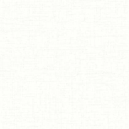 TOILE DE LIN BLANC SO COLOR 5