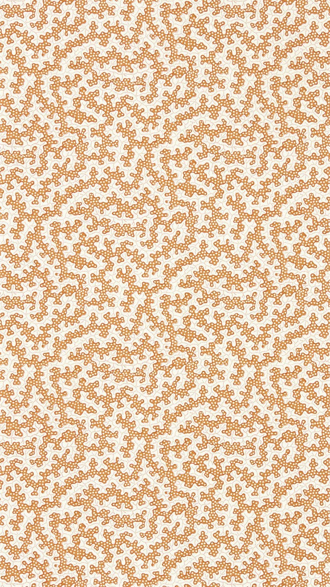 Truffle Rowan Berry Arboretum Wallpapers