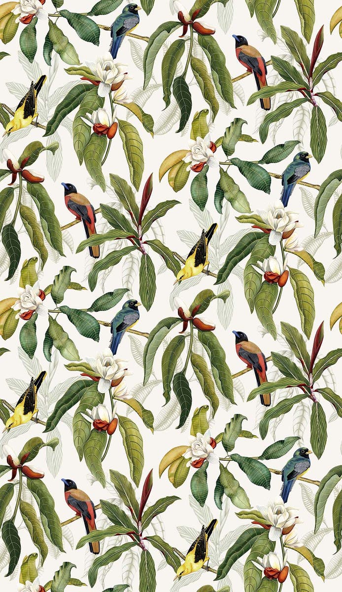 Osborne & Little - Michelia Empyrea Michelia Ivory.