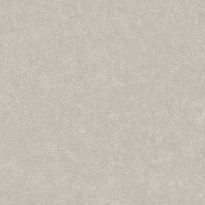 Caselio - Uni Mat Taupe Clair Ceramique