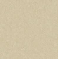Sauvage 2