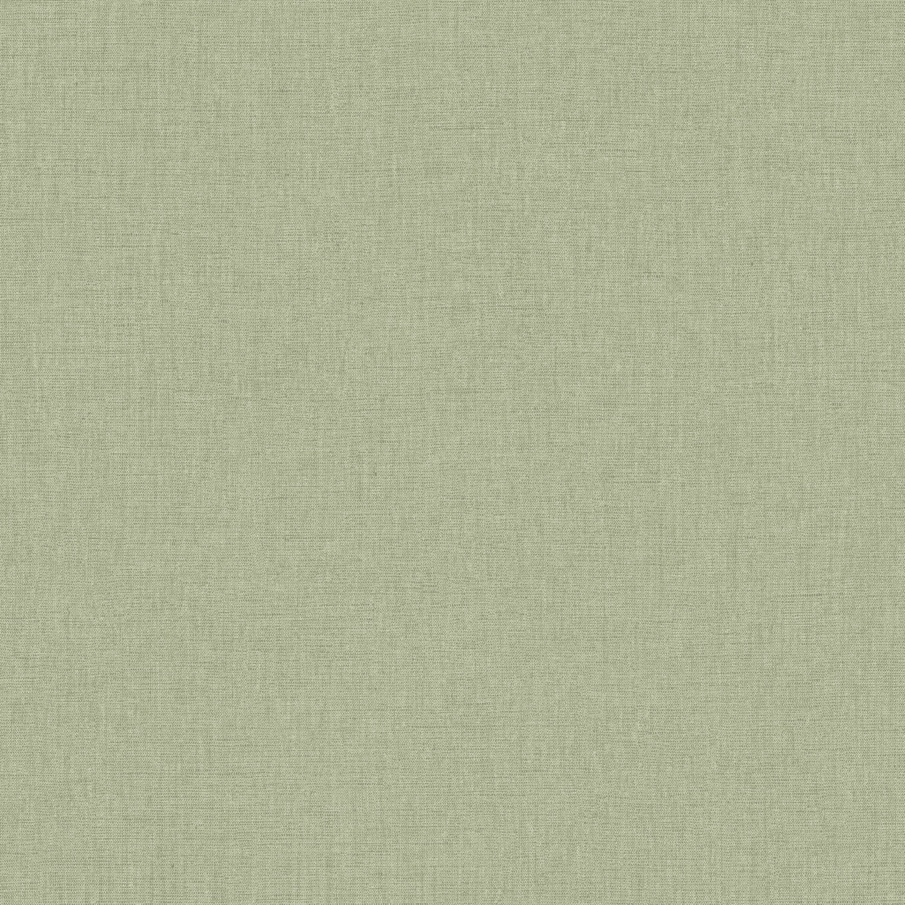 Caselio - Uni Mat Vert Eucalyptus