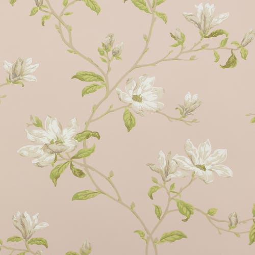 Colefax and Fowler - Marchwood Shell Pink