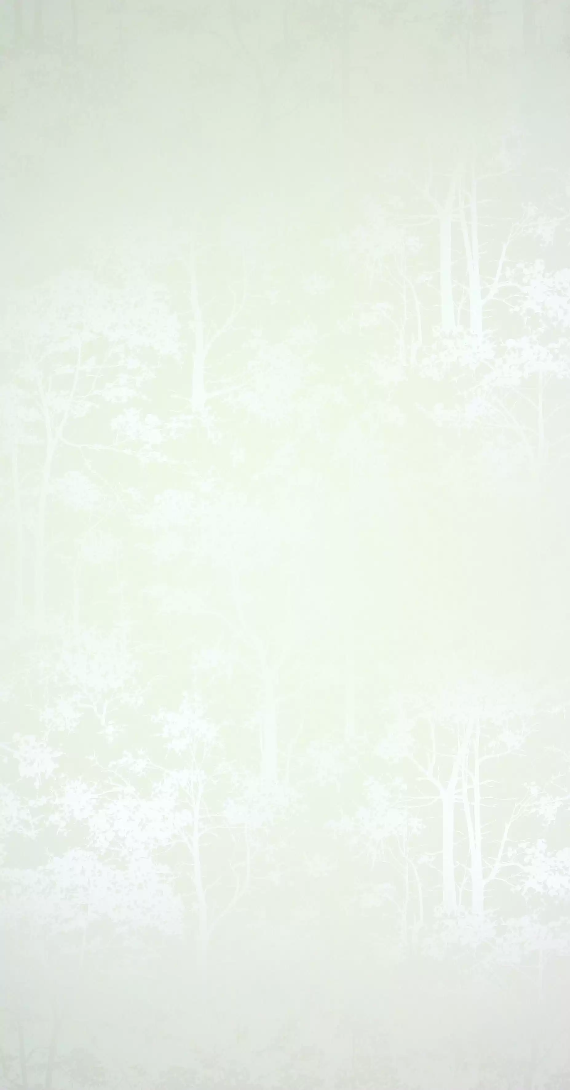 Osborne & Little - Mandara  