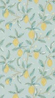 Lemon Tree Wedgewood Melsetter Wallpapers