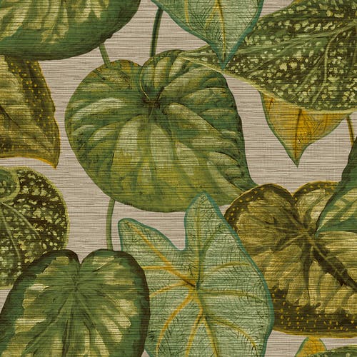 Midbec Tapeter - Tropical Leaves