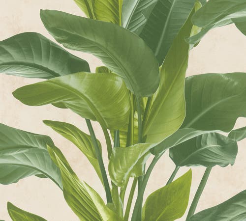 Metropolitan Stories II