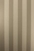 STRIPE METALLICO VINYLS STRIPE C