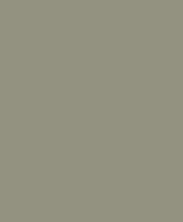 Casadeco - Pigments Gris Elephant Galons & Frises