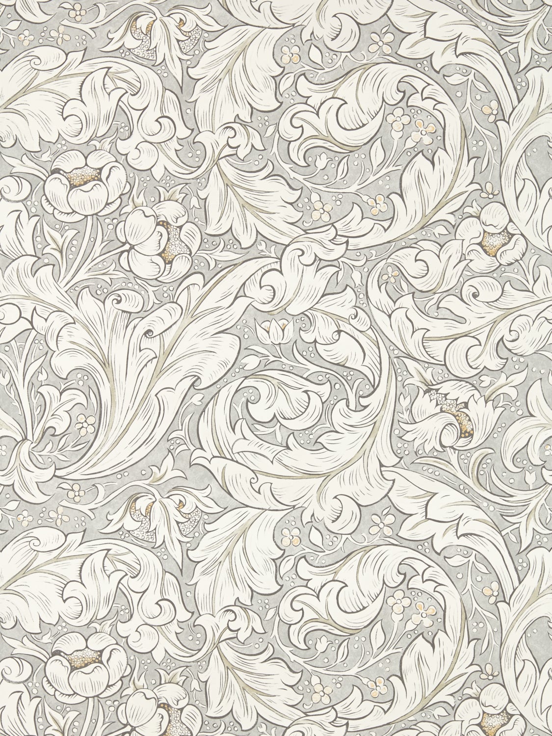 Morris & Co - Pure Bachelors Button Sto Morris Pure Wallpapers