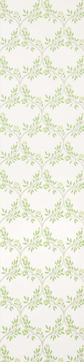 Nina Campbell - Arber Nc Signature Arber Green