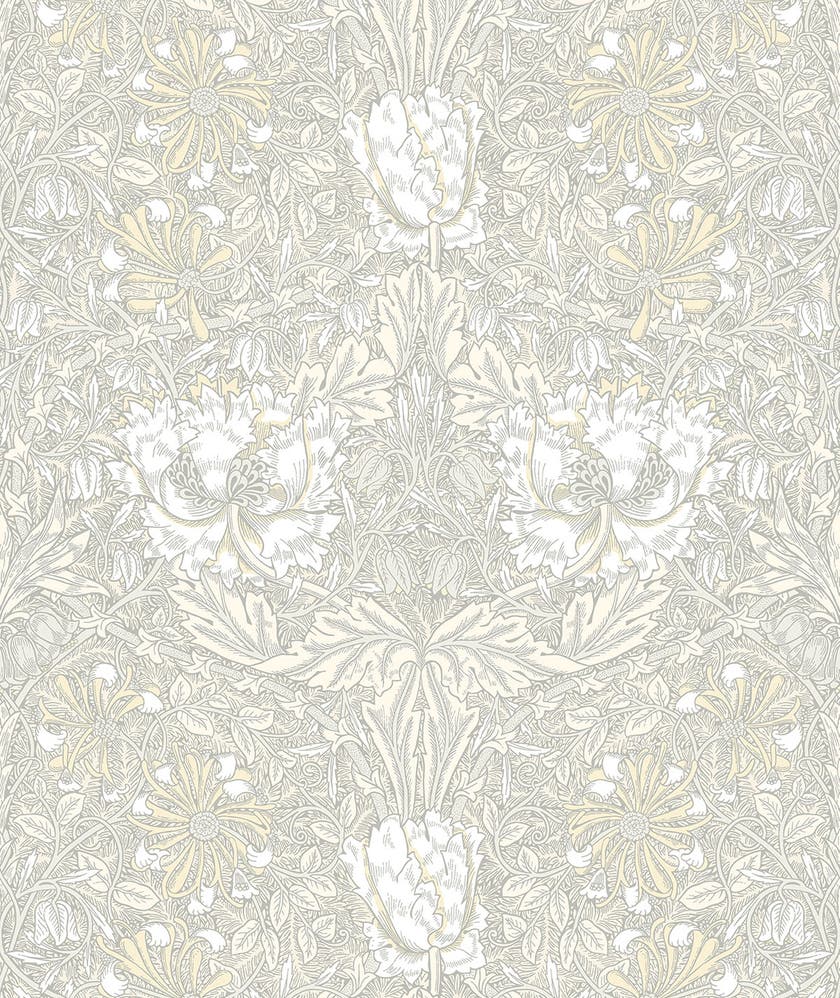 Carma - Legacy Prints