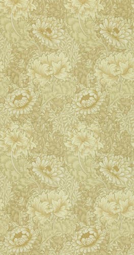 Morris & Co - Chrysanthemum Ivory/Canva Morris and Friends Wallpa