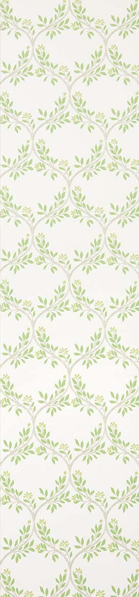 Nina Campbell - Arber Nc Signature Arber Green