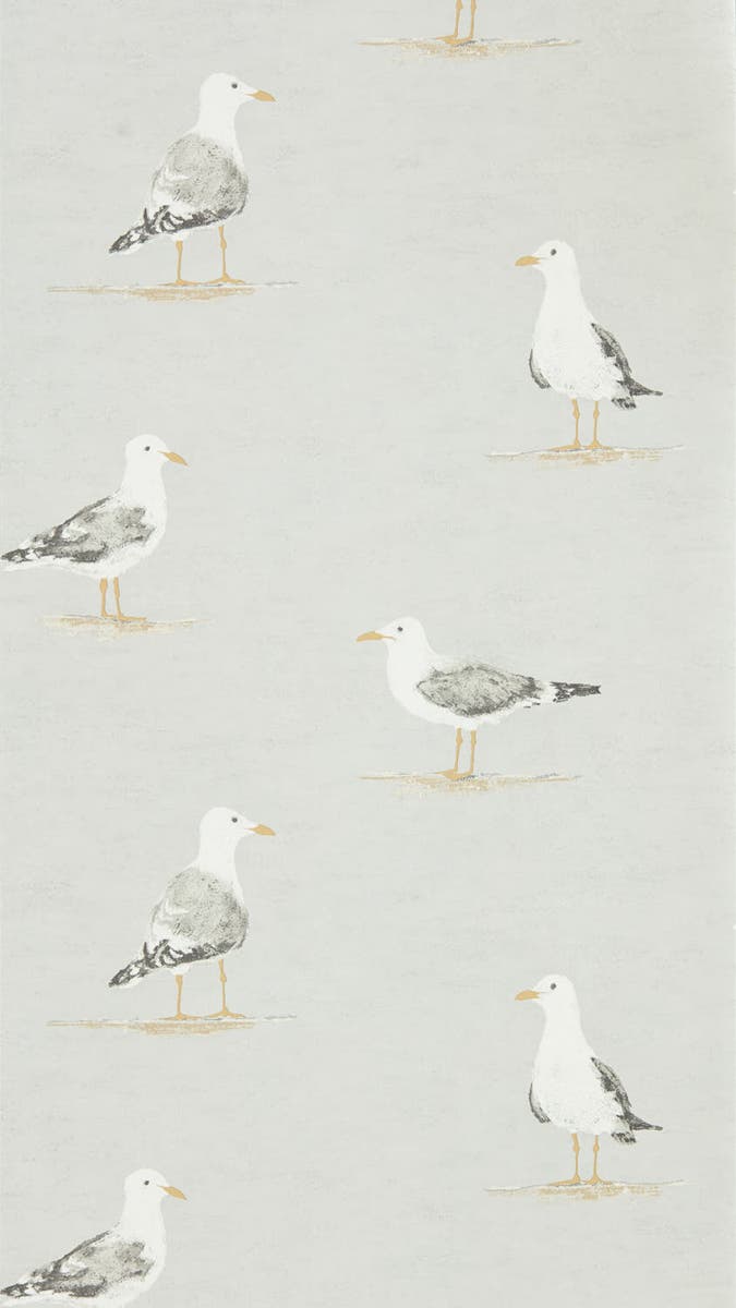 Sanderson - Shore Birds Gull Port Isaac Wallpapers