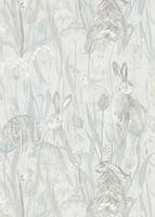 Dune Hares Mist/Pebble Embleton Bay Wallpapers