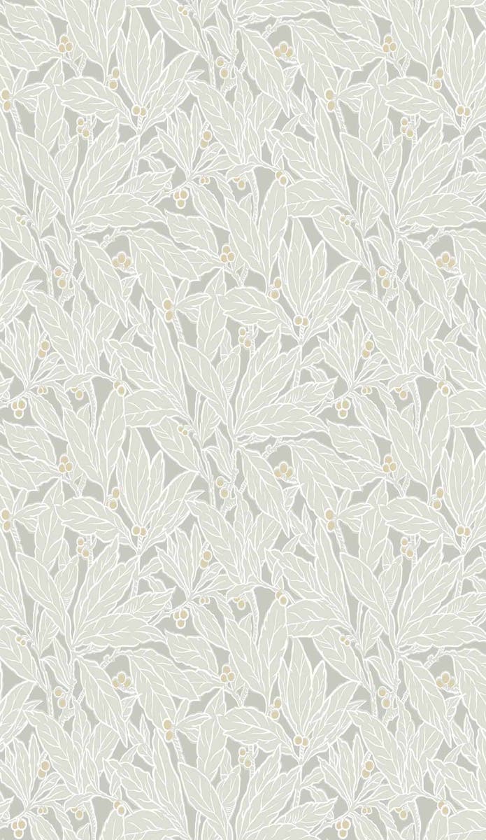 Carma - Legacy Prints