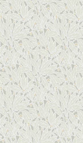 Carma - Legacy Prints