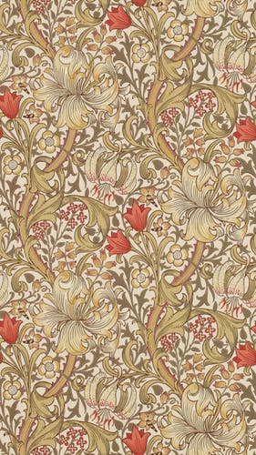 Morris & Co - Golden Lily Biscuit/Brick Morris 160th Anniversary