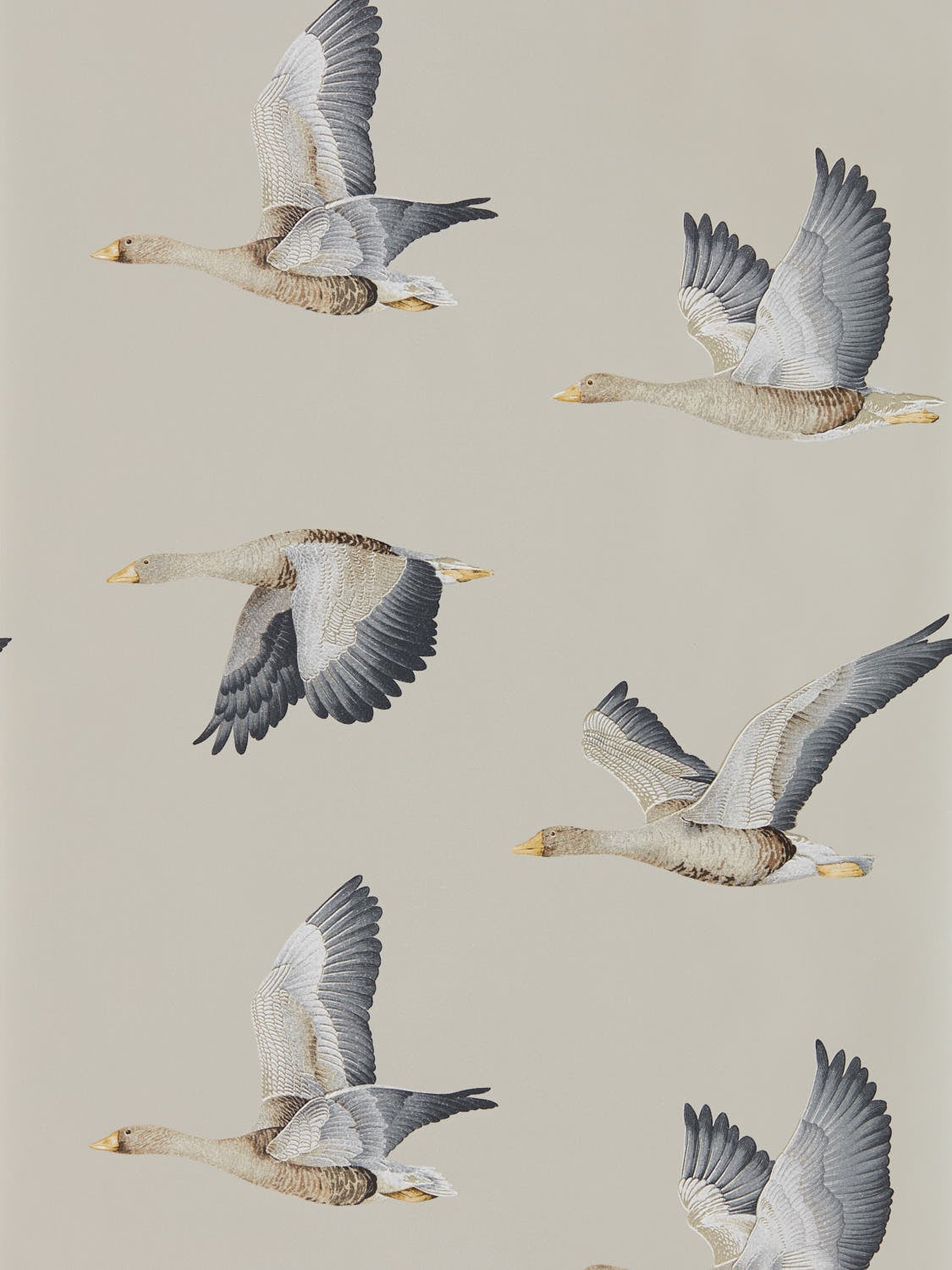 Sanderson - Elysian Geese Gilver Elysian Wallpapers
