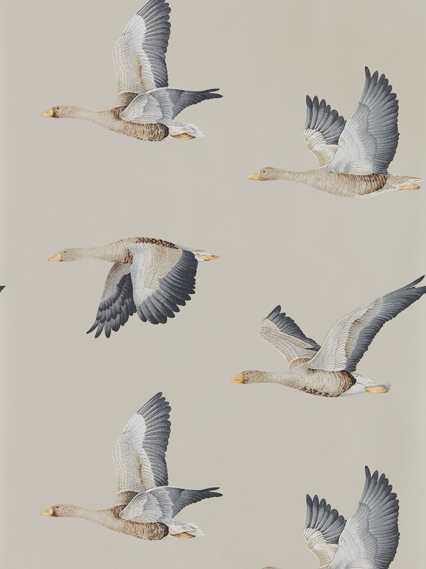 Sanderson - Elysian Geese Gilver Elysian Wallpapers