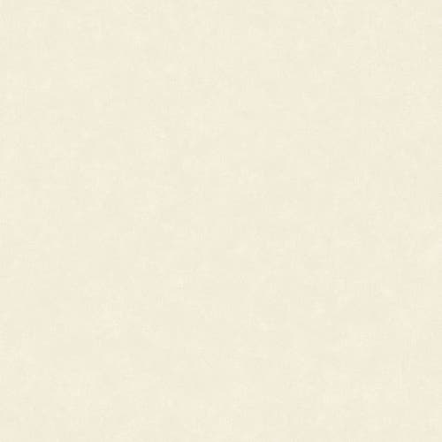 Caselio - Uni Mat Ecru Ceramique
