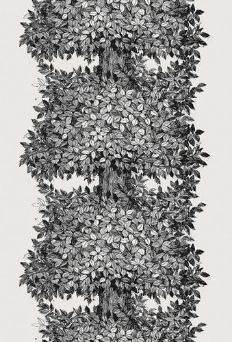 Boråstapeter - Viola Gråsten Hassel