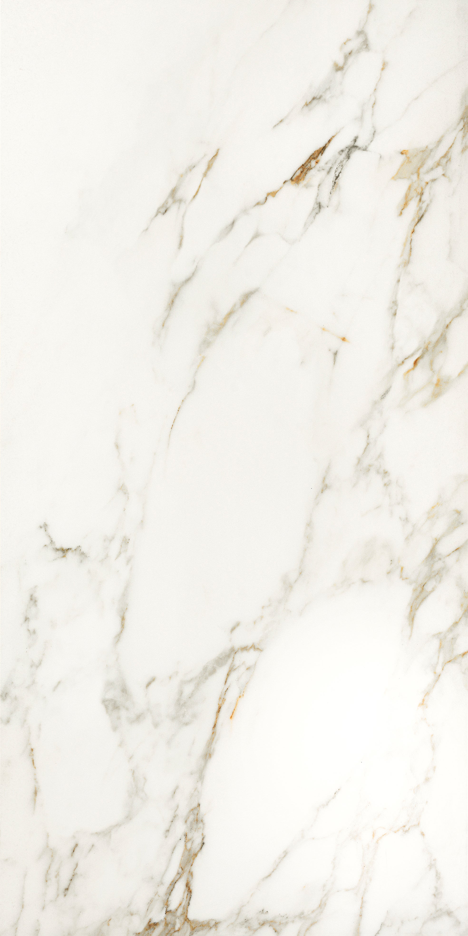 Invite Calacatta gold polerad 60x120 såg