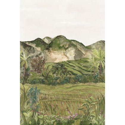 Casamance - Hapao Olive Panoramas 2