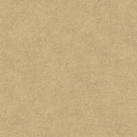 MUR A LA CHAUX BEIGE OCRE SO COLOR 5