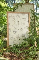 Woodland Chorus Sepia/Neu Country Woodland Wallcove