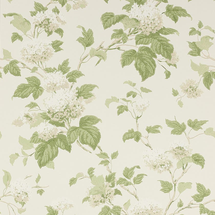 Colefax and Fowler - Chantilly Ivory/Leaf