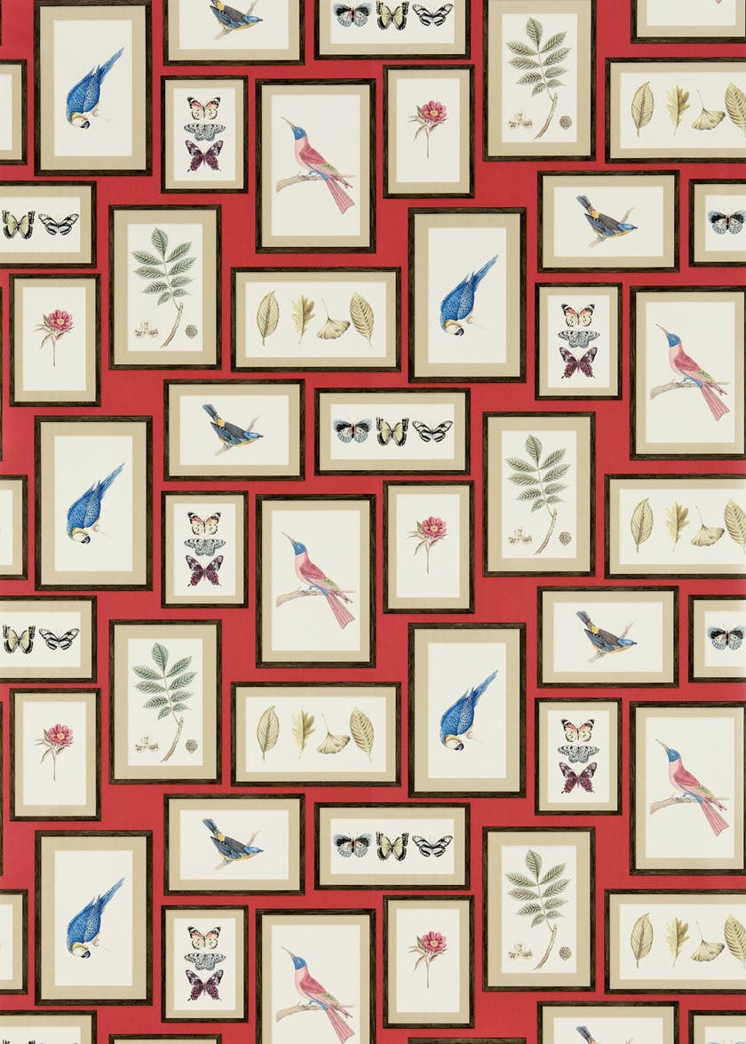 Picture Gallery Red/Multi Sanderson One Sixty Wallp