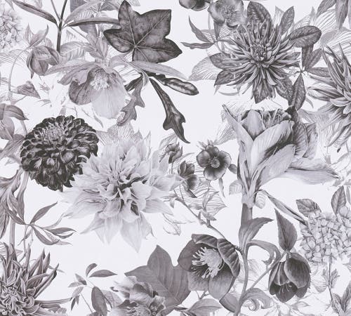 Intrade - Dream Flowery