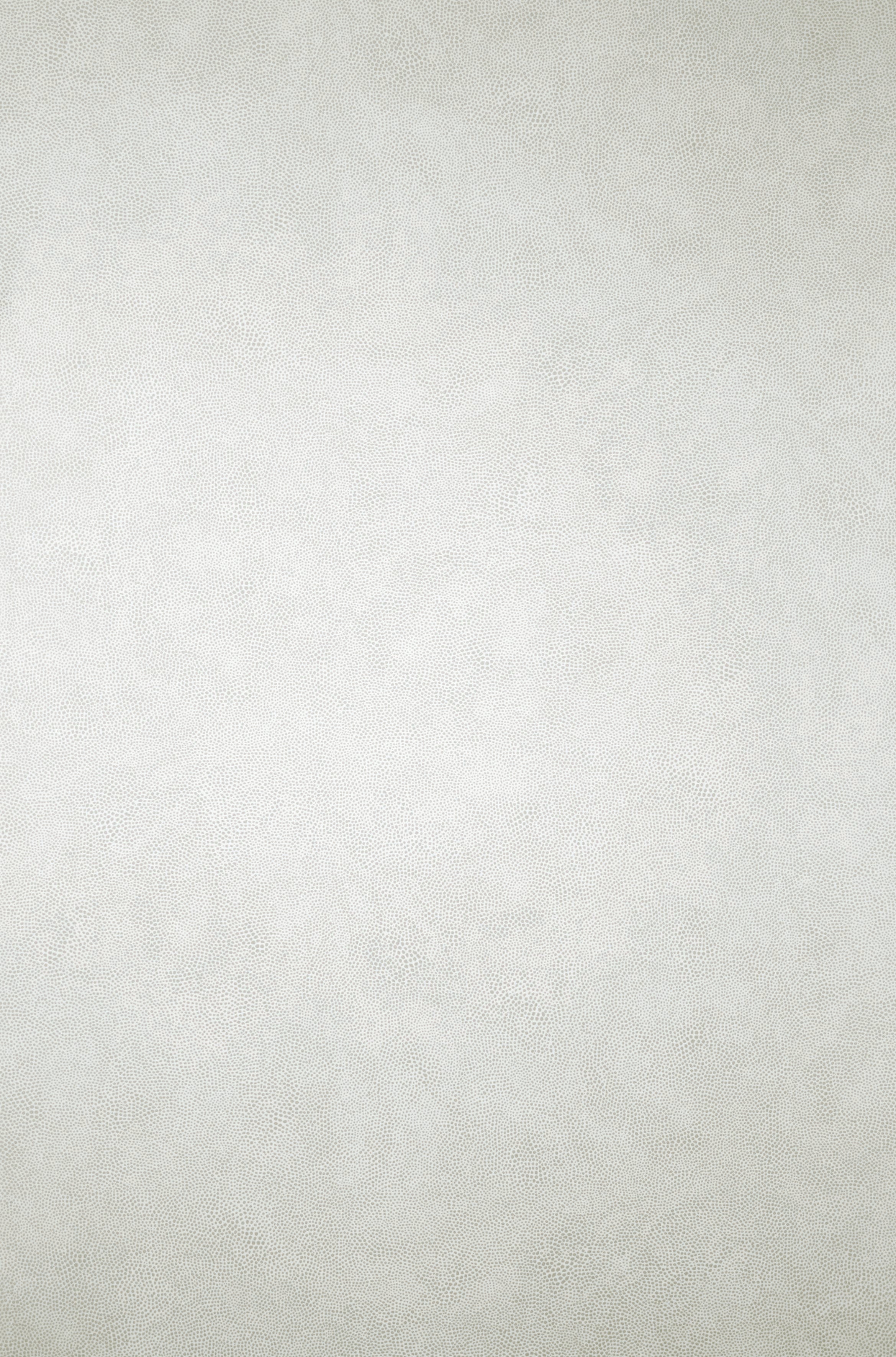 Osborne & Little - Mako Ivory