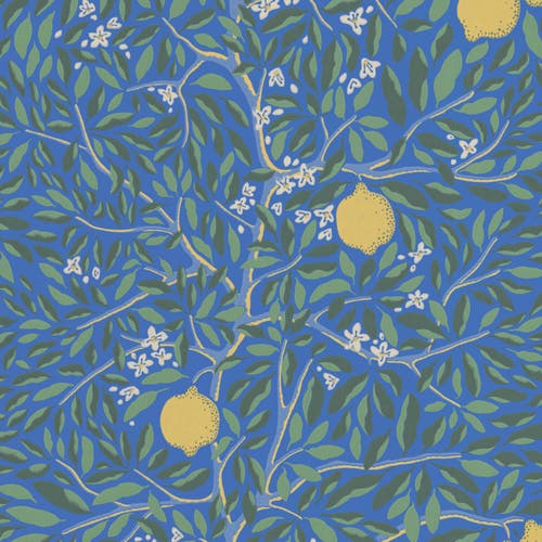 Citrus Lapis Blue Norrviva