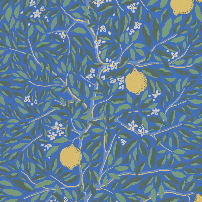 Citrus Lapis Blue Norrviva