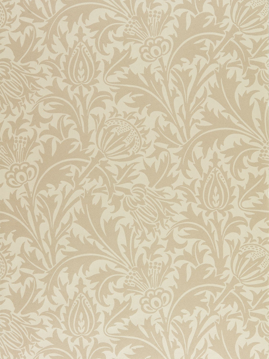 Morris & Co - Pure Thistle Linen Pure Morris North Wallpap