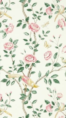 Sanderson - Andhara Rose/Cream Caspian Wallpapers