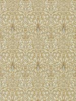 Snakeshead Gold/Linen Morris 160th Anniversary