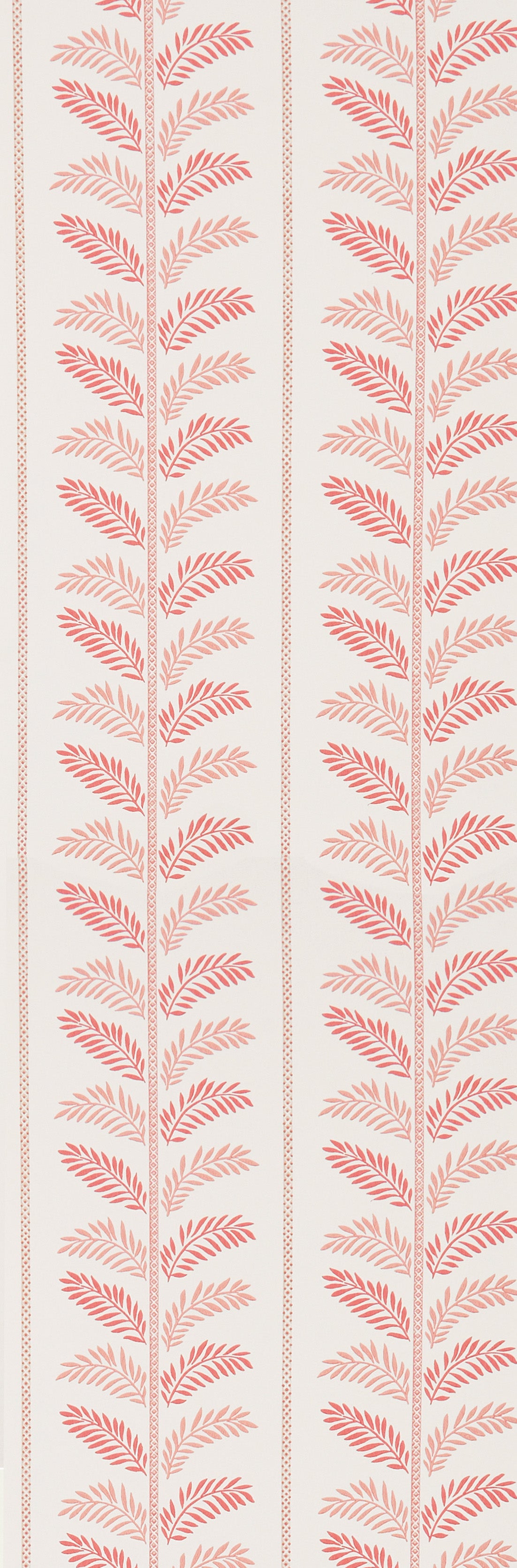 Nina Campbell - Plumier Nc Signature Plumier Cora