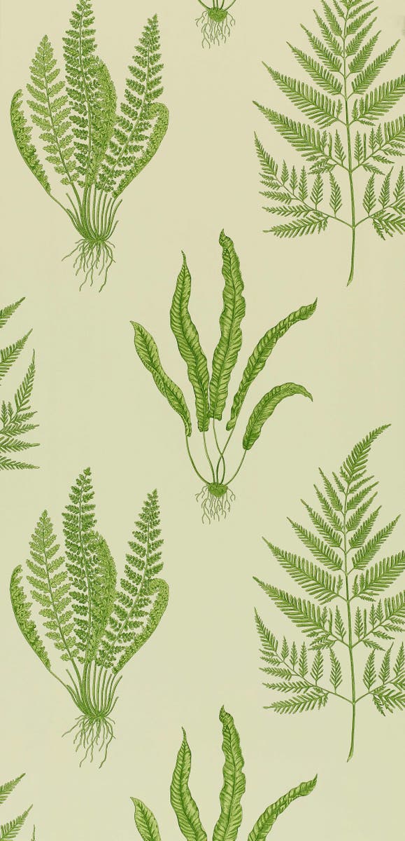 Sanderson - Woodland Ferns Green Sanderson One Sixty Wallp