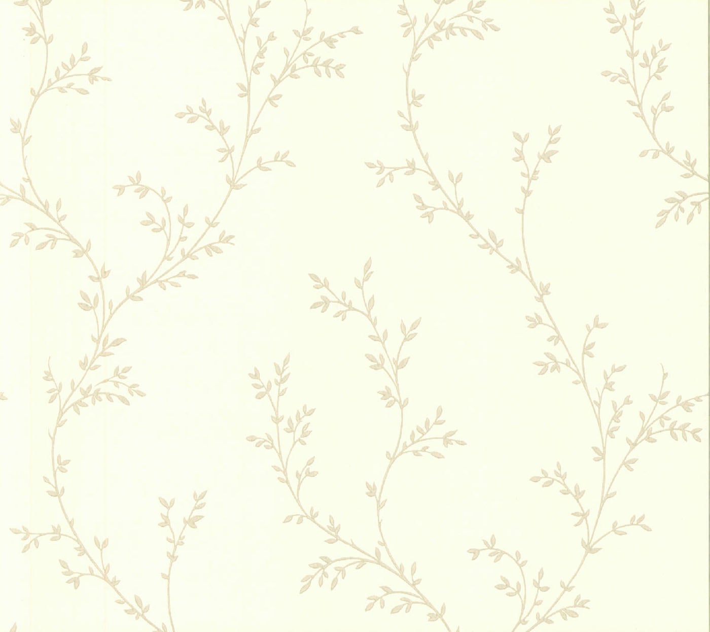 Carma - Milton, NW Rosemore