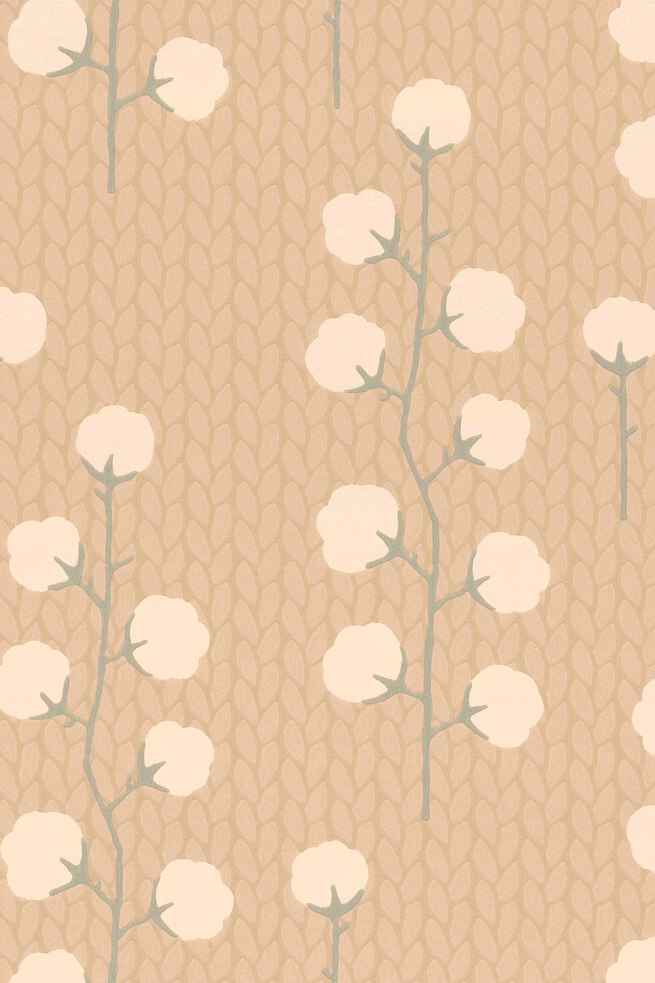 Majvillan - Sweet Cotton Desert rose